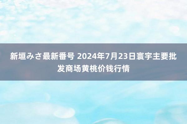 新垣みさ最新番号 2024年7月23日寰宇主要批发商场黄桃价钱行情