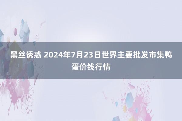 黑丝诱惑 2024年7月23日世界主要批发市集鸭蛋价钱行情