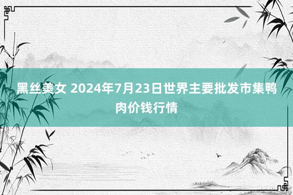 黑丝美女 2024年7月23日世界主要批发市集鸭肉价钱行情