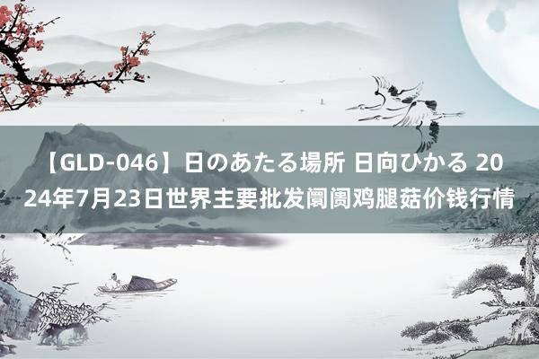 【GLD-046】日のあたる場所 日向ひかる 2024年7月23日世界主要批发阛阓鸡腿菇价钱行情