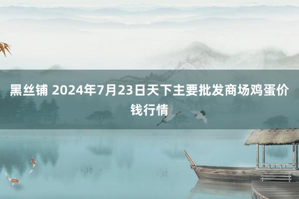 黑丝铺 2024年7月23日天下主要批发商场鸡蛋价钱行情