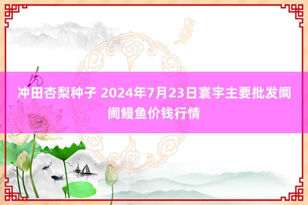 冲田杏梨种子 2024年7月23日寰宇主要批发阛阓鳗鱼价钱行情