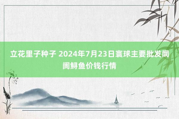 立花里子种子 2024年7月23日寰球主要批发阛阓鲟鱼价钱行情