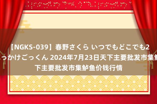 【NGKS-039】春野さくら いつでもどこでも24時間、初ぶっかけごっくん 2024年7月23日天下主要批发市集鲈鱼价钱行情