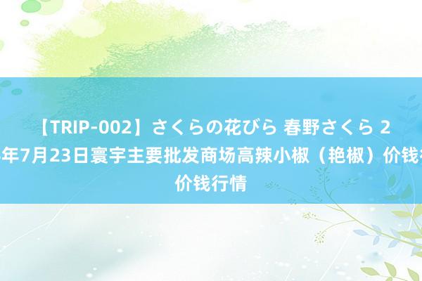 【TRIP-002】さくらの花びら 春野さくら 2024年7月23日寰宇主要批发商场高辣小椒（艳椒）价钱行情