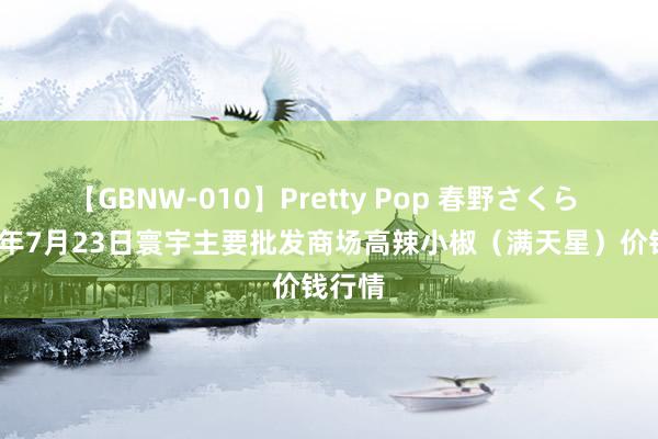 【GBNW-010】Pretty Pop 春野さくら 2024年7月23日寰宇主要批发商场高辣小椒（满天星）价钱行情