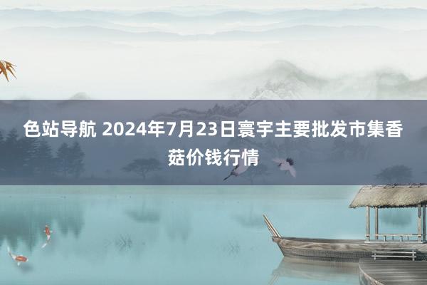 色站导航 2024年7月23日寰宇主要批发市集香菇价钱行情