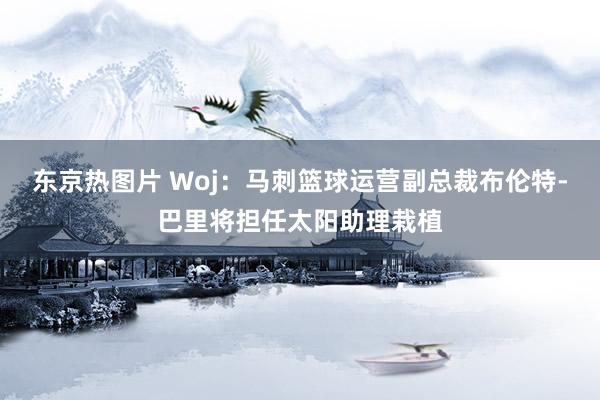 东京热图片 Woj：马刺篮球运营副总裁布伦特-巴里将担任太阳助理栽植