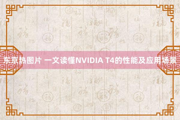 东京热图片 一文读懂NVIDIA T4的性能及应用场景