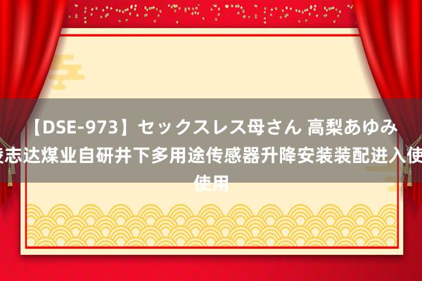 【DSE-973】セックスレス母さん 高梨あゆみ 凌志达煤业自研井下多用途传感器升降安装装配进入使用