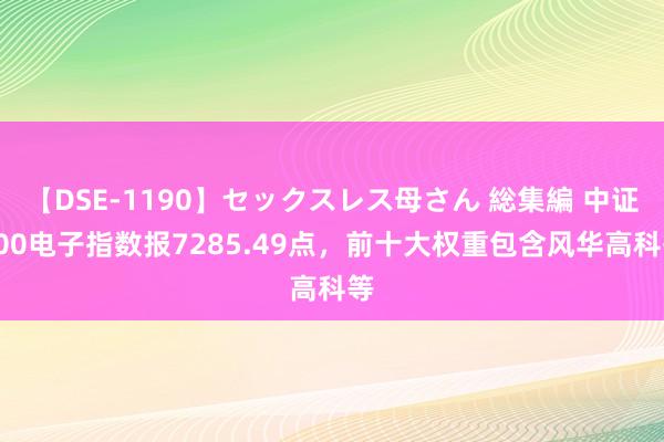 【DSE-1190】セックスレス母さん 総集編 中证500电子指数报7285.49点，前十大权重包含风华高科等