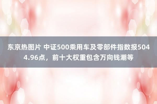 东京热图片 中证500乘用车及零部件指数报5044.96点，前十大权重包含万向钱潮等