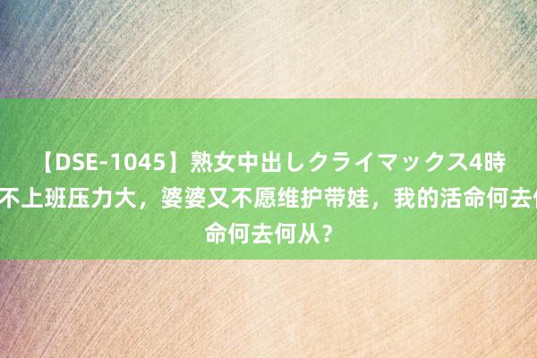 【DSE-1045】熟女中出しクライマックス4時間 4 不上班压力大，婆婆又不愿维护带娃，我的活命何去何从？