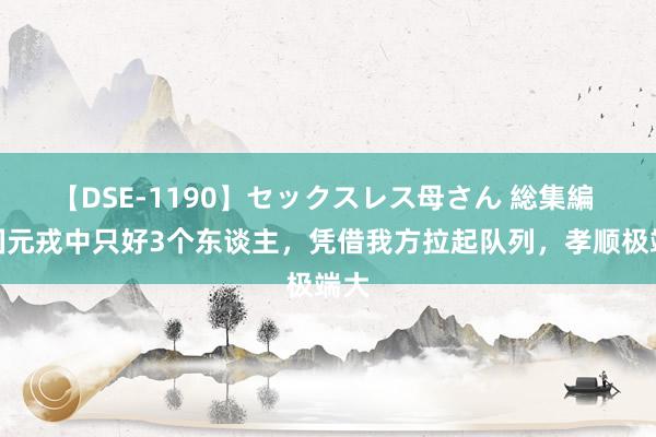 【DSE-1190】セックスレス母さん 総集編 建国元戎中只好3个东谈主，凭借我方拉起队列，孝顺极端大