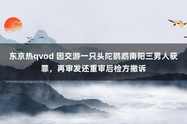 东京热qvod 因交游一只头陀鹦鹉南阳三男人获罪，再审发还重审后检方撤诉