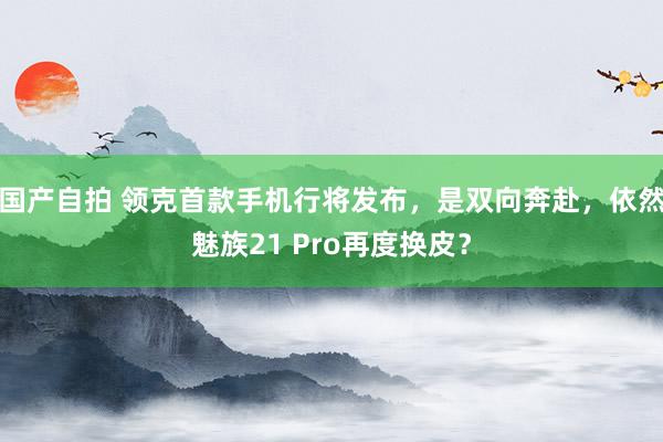 国产自拍 领克首款手机行将发布，是双向奔赴，依然魅族21 Pro再度换皮？