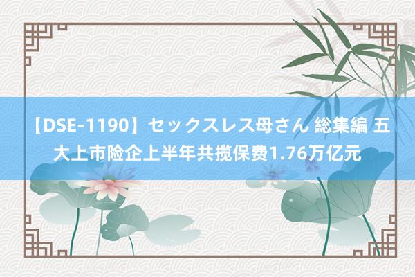 【DSE-1190】セックスレス母さん 総集編 五大上市险企上半年共揽保费1.76万亿元