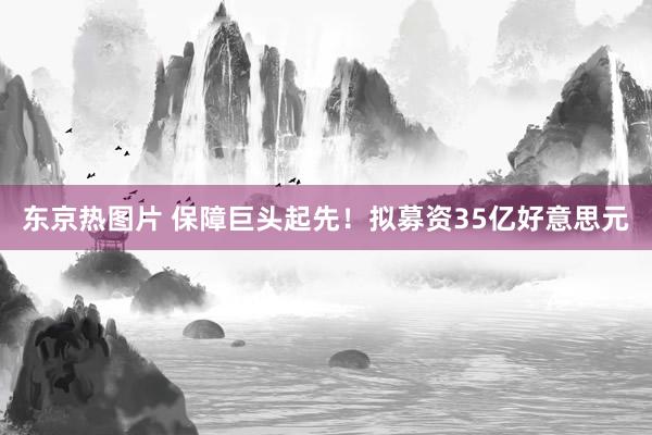 东京热图片 保障巨头起先！拟募资35亿好意思元