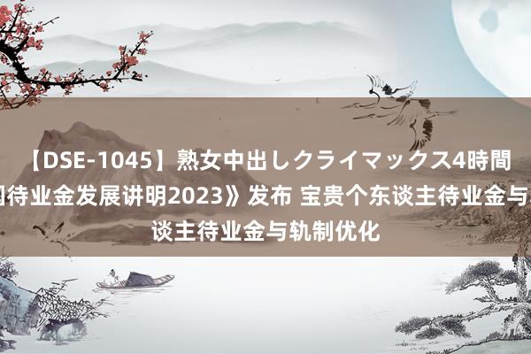 【DSE-1045】熟女中出しクライマックス4時間 4 《中国待业金发展讲明2023》发布 宝贵个东谈主待业金与轨制优化