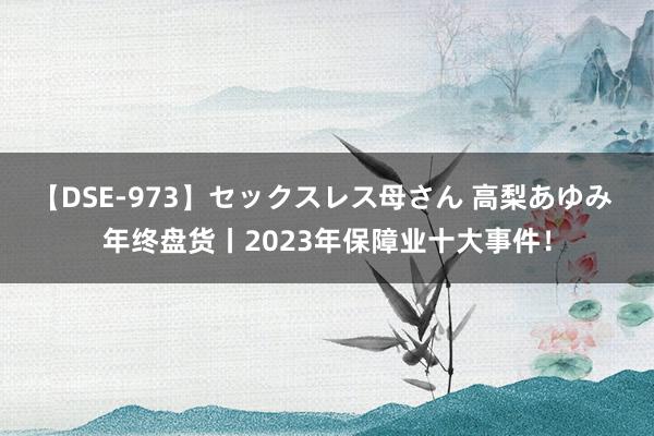 【DSE-973】セックスレス母さん 高梨あゆみ 年终盘货丨2023年保障业十大事件！