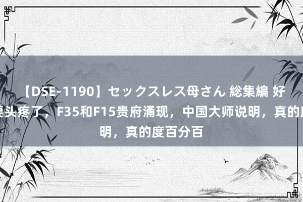 【DSE-1190】セックスレス母さん 総集編 好意思军要头疼了，F35和F15贵府涌现，中国大师说明，真的度百分百