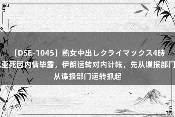 【DSE-1045】熟女中出しクライマックス4時間 4 哈尼亚死因内情毕露，伊朗运转对内计帐，先从谍报部门运转抓起