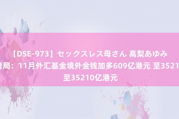 【DSE-973】セックスレス母さん 高梨あゆみ 香港金管局：11月外汇基金境外金钱加多609亿港元 至35210亿港元