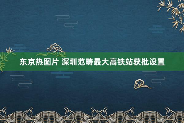 东京热图片 深圳范畴最大高铁站获批设置