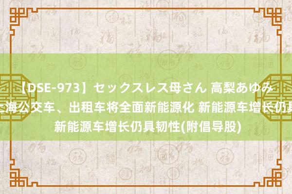 【DSE-973】セックスレス母さん 高梨あゆみ 港股倡导跟踪 | 上海公交车、出租车将全面新能源化 新能源车增长仍具韧性(附倡导股)