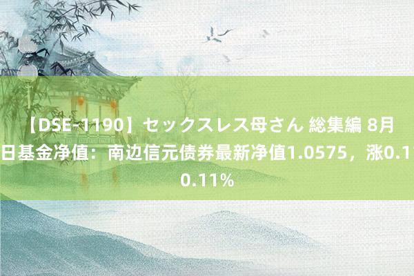 【DSE-1190】セックスレス母さん 総集編 8月14日基金净值：南边信元债券最新净值1.0575，涨0.11%