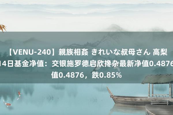 【VENU-240】親族相姦 きれいな叔母さん 高梨あゆみ 8月14日基金净值：交银施罗德启欣搀杂最新净值0.4876，跌0.85%