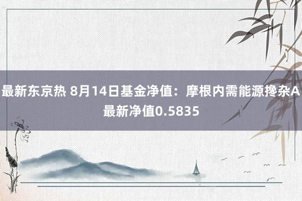 最新东京热 8月14日基金净值：摩根内需能源搀杂A最新净值0.5835