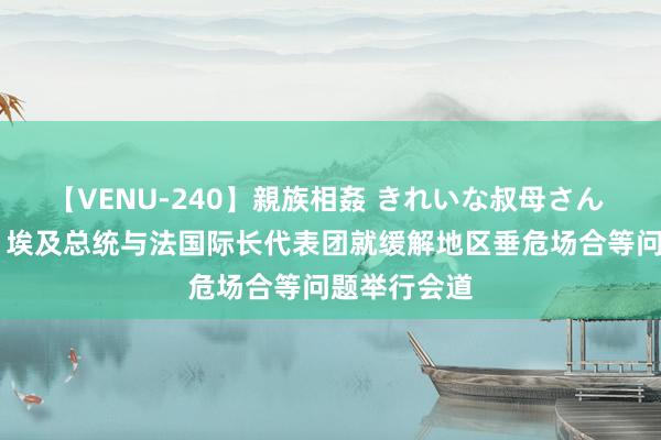 【VENU-240】親族相姦 きれいな叔母さん 高梨あゆみ 埃及总统与法国际长代表团就缓解地区垂危场合等问题举行会道