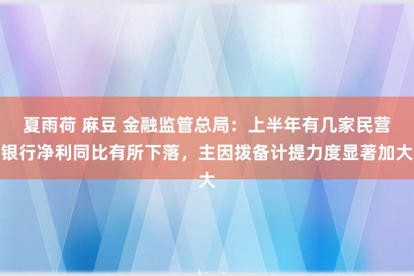 夏雨荷 麻豆 金融监管总局：上半年有几家民营银行净利同比有所下落，主因拨备计提力度显著加大