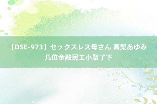 【DSE-973】セックスレス母さん 高梨あゆみ 几位金融民工小聚了下