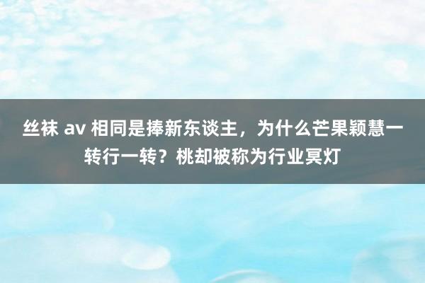 丝袜 av 相同是捧新东谈主，为什么芒果颖慧一转行一转？桃却被称为行业冥灯