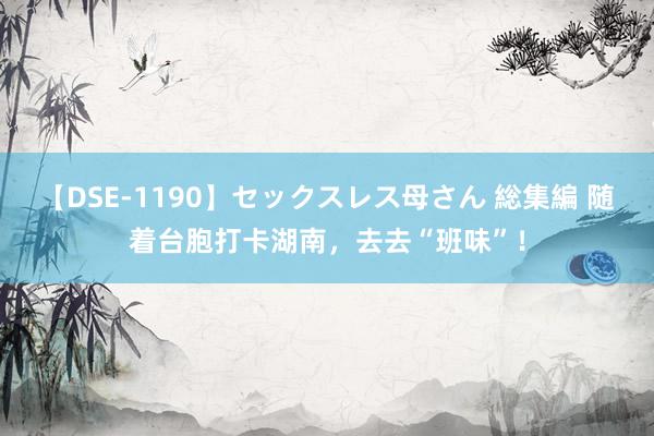 【DSE-1190】セックスレス母さん 総集編 随着台胞打卡湖南，去去“班味”！