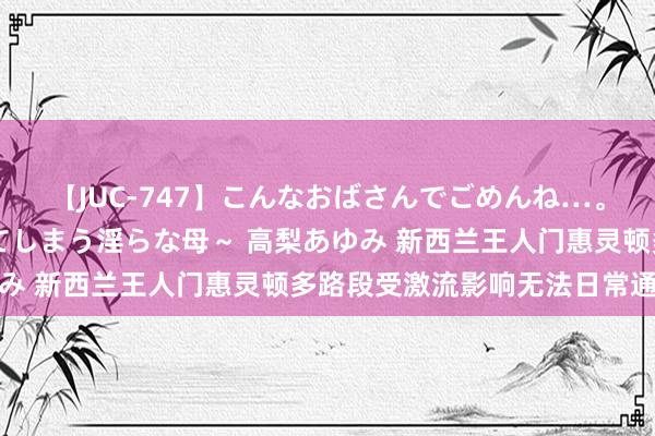 【JUC-747】こんなおばさんでごめんね…。～童貞チ○ポに発情してしまう淫らな母～ 高梨あゆみ 新西兰王人门惠灵顿多路段受激流影响无法日常通行