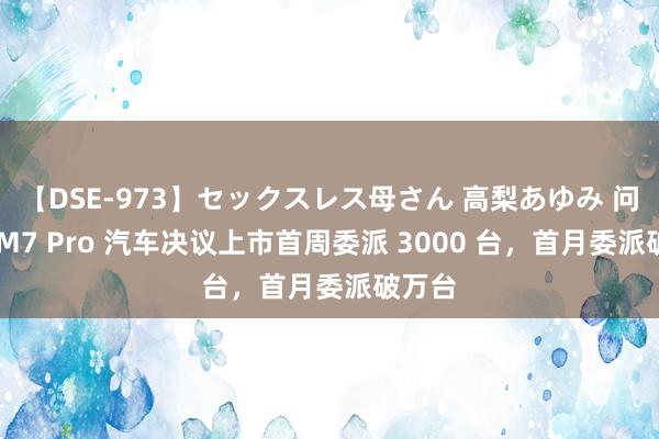 【DSE-973】セックスレス母さん 高梨あゆみ 问界新 M7 Pro 汽车决议上市首周委派 3000 台，首月委派破万台