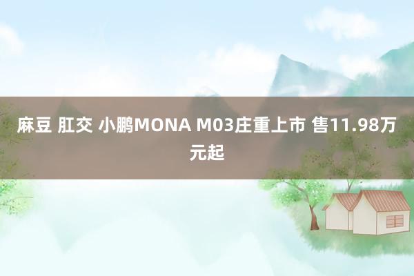 麻豆 肛交 小鹏MONA M03庄重上市 售11.98万元起