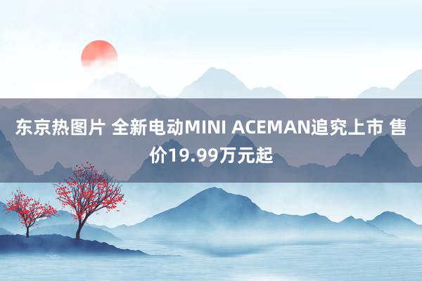 东京热图片 全新电动MINI ACEMAN追究上市 售价19.99万元起