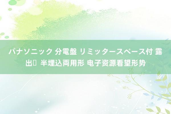 パナソニック 分電盤 リミッタースペース付 露出・半埋込両用形 电子资源看望形势