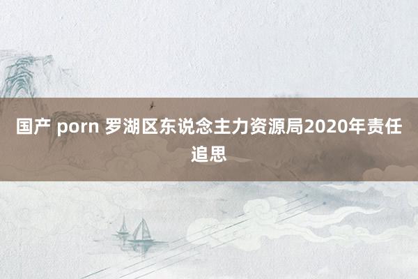 国产 porn 罗湖区东说念主力资源局2020年责任追思